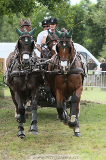 CAIO - Nebanice 2016