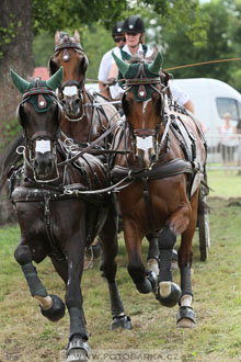 CAIO - Nebanice 2016