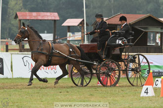 CAIO - Nebanice 2016