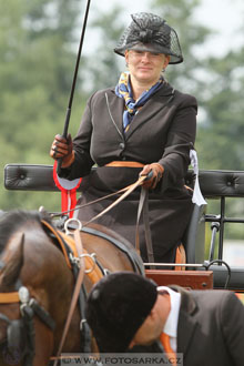 CAIO - Nebanice 2016