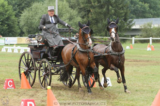 CAIO - Nebanice 2016
