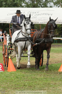 CAIO - Nebanice 2016