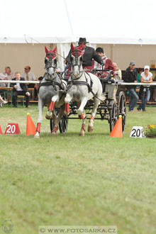 CAIO - Nebanice 2016