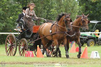 CAIO - Nebanice 2016