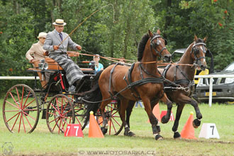 CAIO - Nebanice 2016