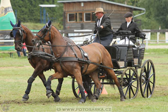 CAIO - Nebanice 2016