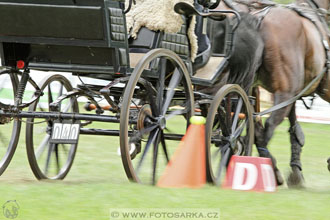 CAIO - Nebanice 2016