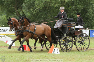 CAIO - Nebanice 2016