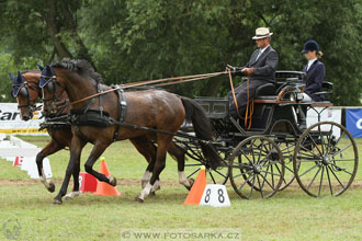 CAIO - Nebanice 2016