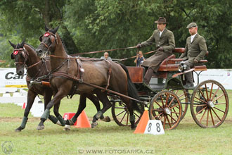 CAIO - Nebanice 2016
