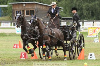 CAIO - Nebanice 2016