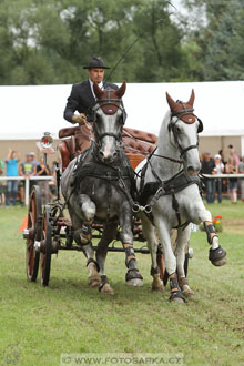 CAIO - Nebanice 2016