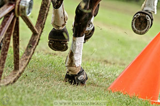 CAIO - Nebanice 2016