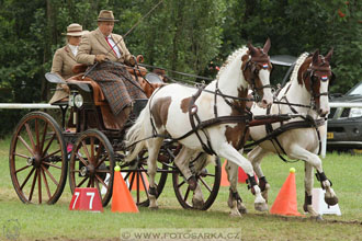 CAIO - Nebanice 2016