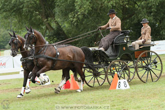 CAIO - Nebanice 2016