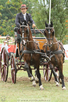 CAIO - Nebanice 2016