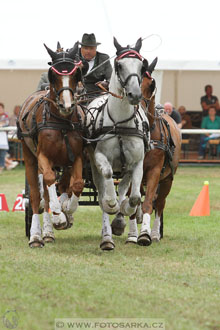 CAIO - Nebanice 2016