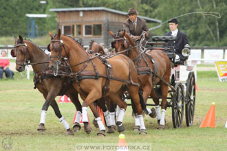CAIO - Nebanice 2016