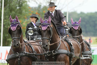 CAIO - Nebanice 2016