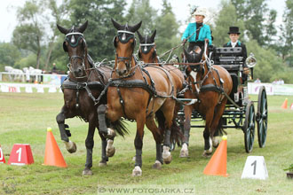 CAIO - Nebanice 2016