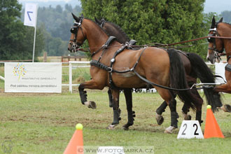 CAIO - Nebanice 2016