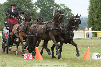 CAIO - Nebanice 2016