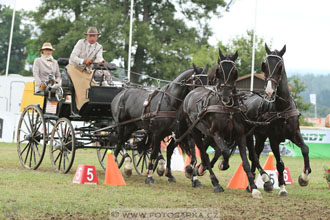 CAIO - Nebanice 2016