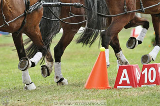 CAIO - Nebanice 2016