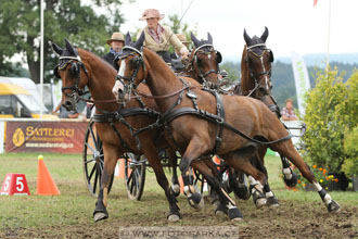 CAIO - Nebanice 2016