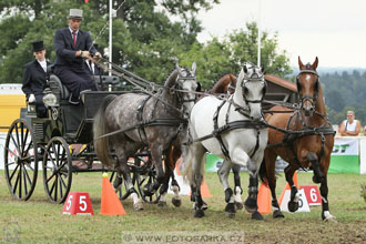 CAIO - Nebanice 2016