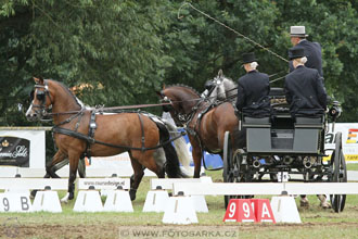 CAIO - Nebanice 2016