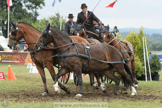 CAIO - Nebanice 2016