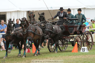 CAIO - Nebanice 2016