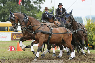 CAIO - Nebanice 2016
