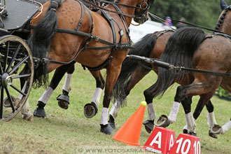 CAIO - Nebanice 2016