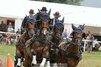CAIO - Nebanice 2016