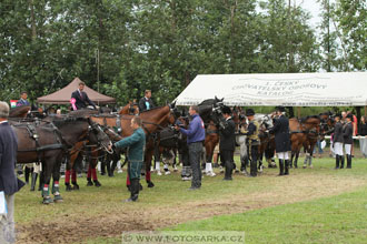 CAIO - Nebanice 2016
