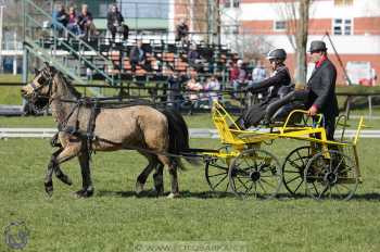 CAN 2* Pardubice - sobota