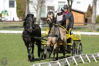 CAN 2* Pardubice - sobota