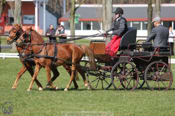 CAN 2* Pardubice - sobota