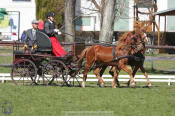 CAN 2* Pardubice - sobota