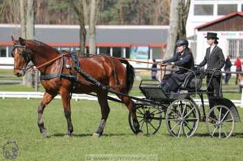 CAN 2* Pardubice - sobota