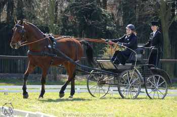 CAN 2* Pardubice - sobota