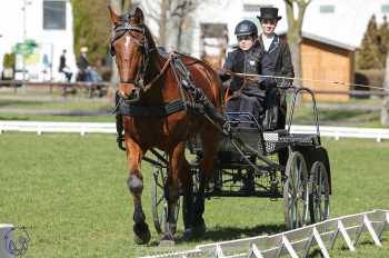 CAN 2* Pardubice - sobota