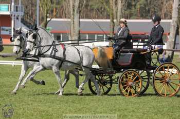 CAN 2* Pardubice - sobota