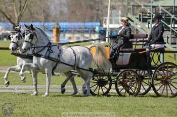 CAN 2* Pardubice - sobota