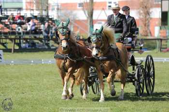 CAN 2* Pardubice - sobota