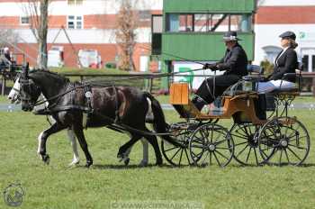 CAN 2* Pardubice - sobota