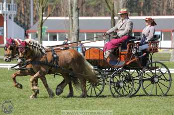 CAN 2* Pardubice - sobota