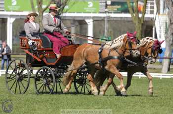 CAN 2* Pardubice - sobota